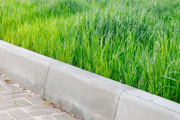 Curb Removal in Summerville